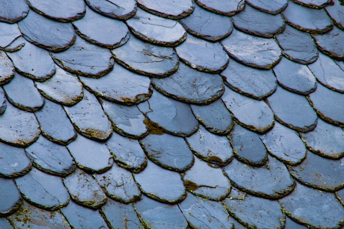 Decorative scallop-pattern slate roof tiles in weathered grey-blue